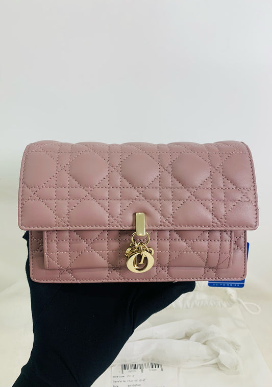 Brand new Dior woc